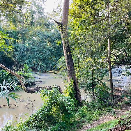 Yala Safari River View Hotel Tissamaharama Dış mekan fotoğraf