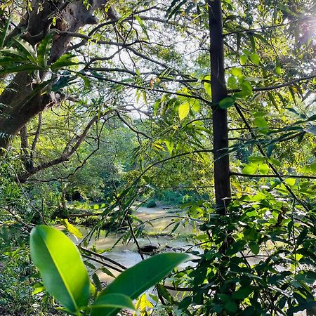 Yala Safari River View Hotel Tissamaharama Dış mekan fotoğraf