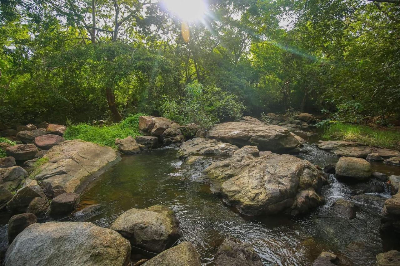 Yala Safari River View Hotel Tissamaharama Dış mekan fotoğraf