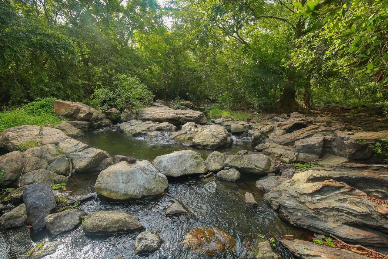 Yala Safari River View Hotel Tissamaharama Dış mekan fotoğraf