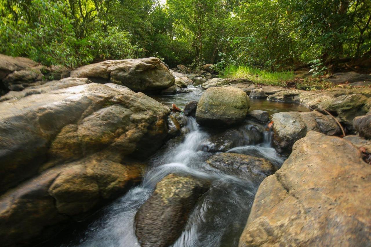 Yala Safari River View Hotel Tissamaharama Dış mekan fotoğraf