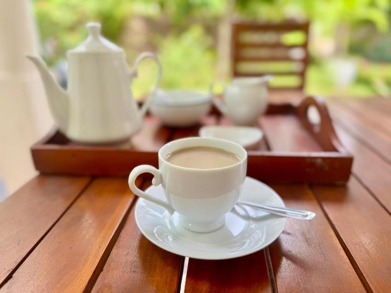 Yala Safari River View Hotel Tissamaharama Dış mekan fotoğraf