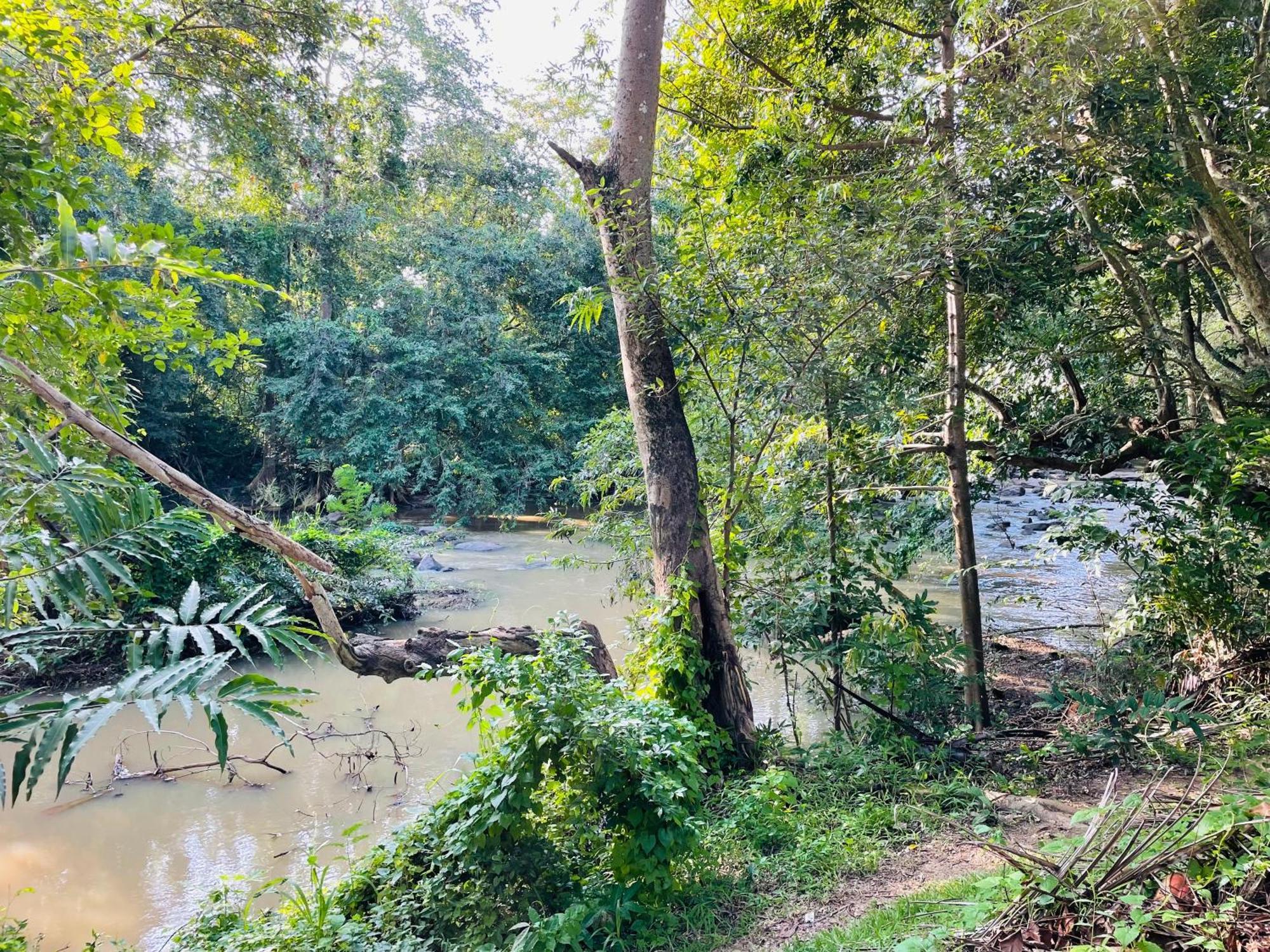 Yala Safari River View Hotel Tissamaharama Dış mekan fotoğraf