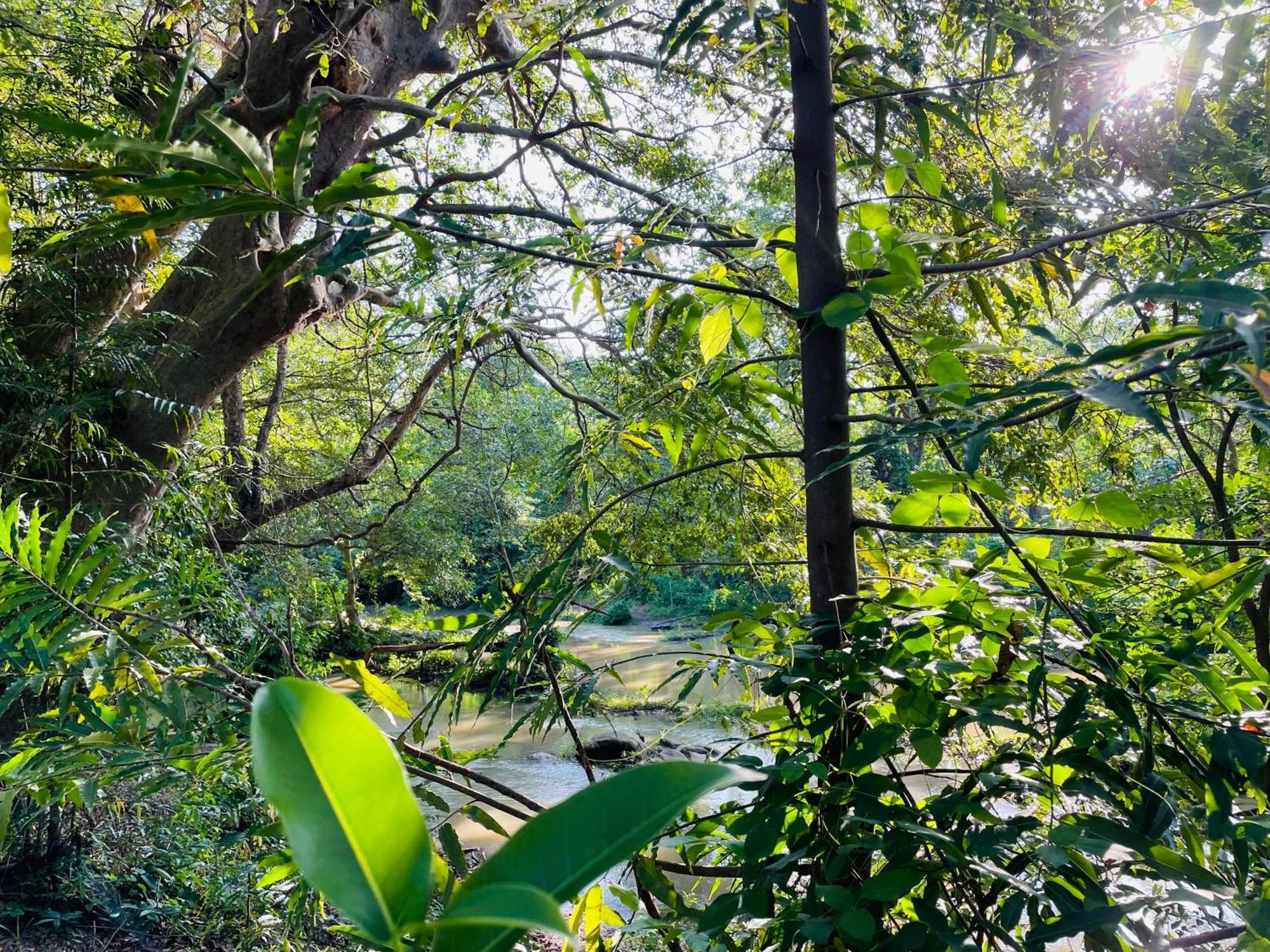 Yala Safari River View Hotel Tissamaharama Dış mekan fotoğraf