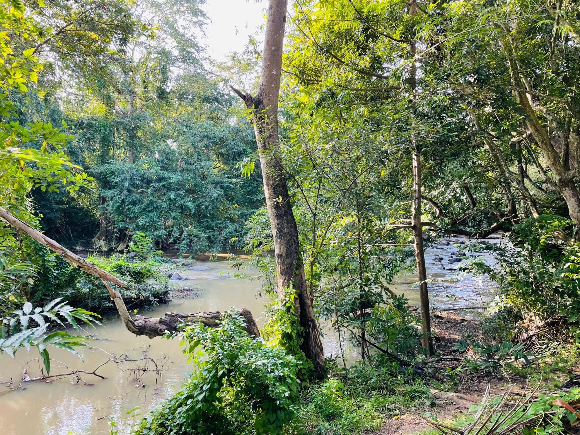 Yala Safari River View Hotel Tissamaharama Dış mekan fotoğraf