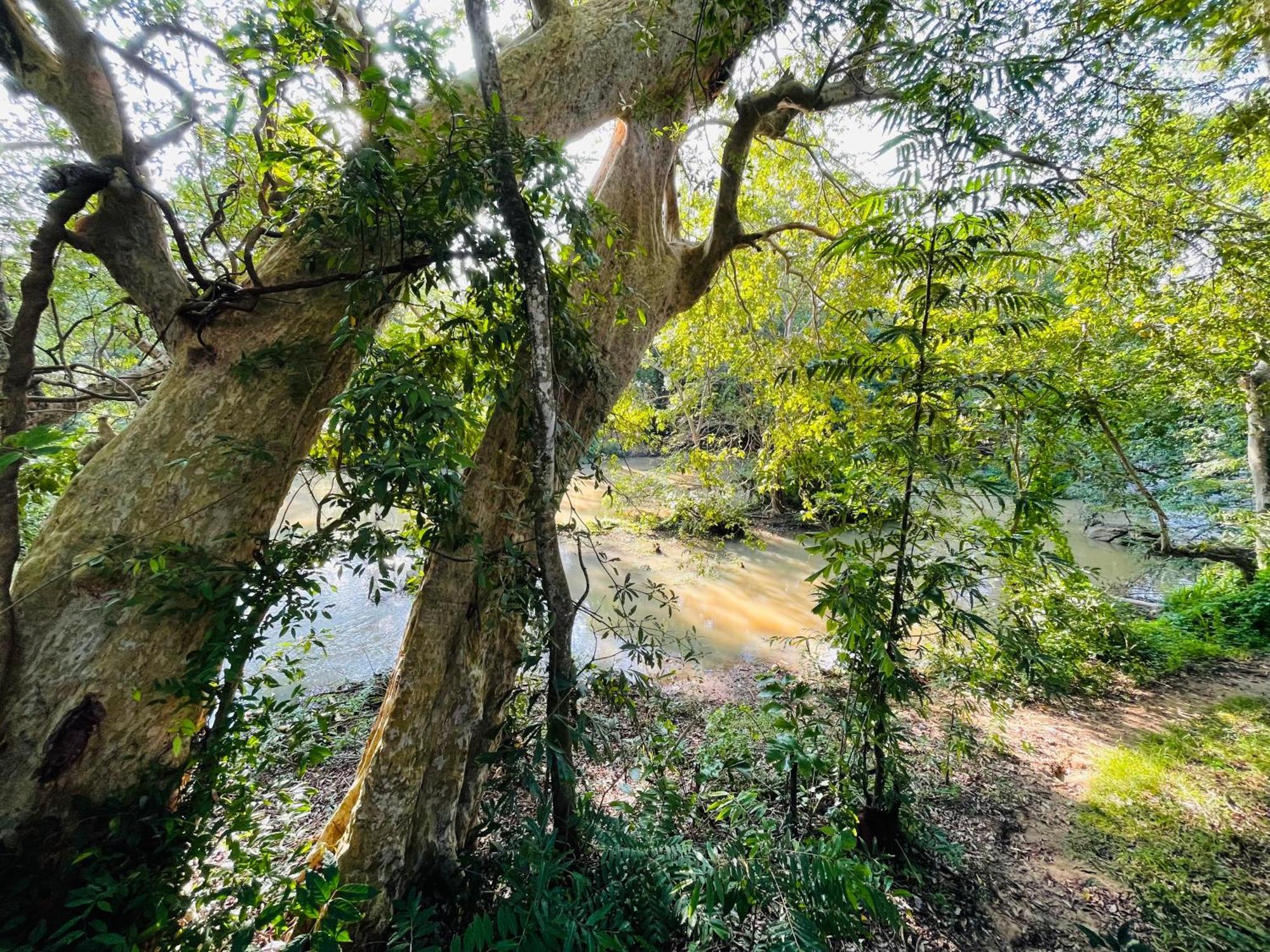 Yala Safari River View Hotel Tissamaharama Dış mekan fotoğraf