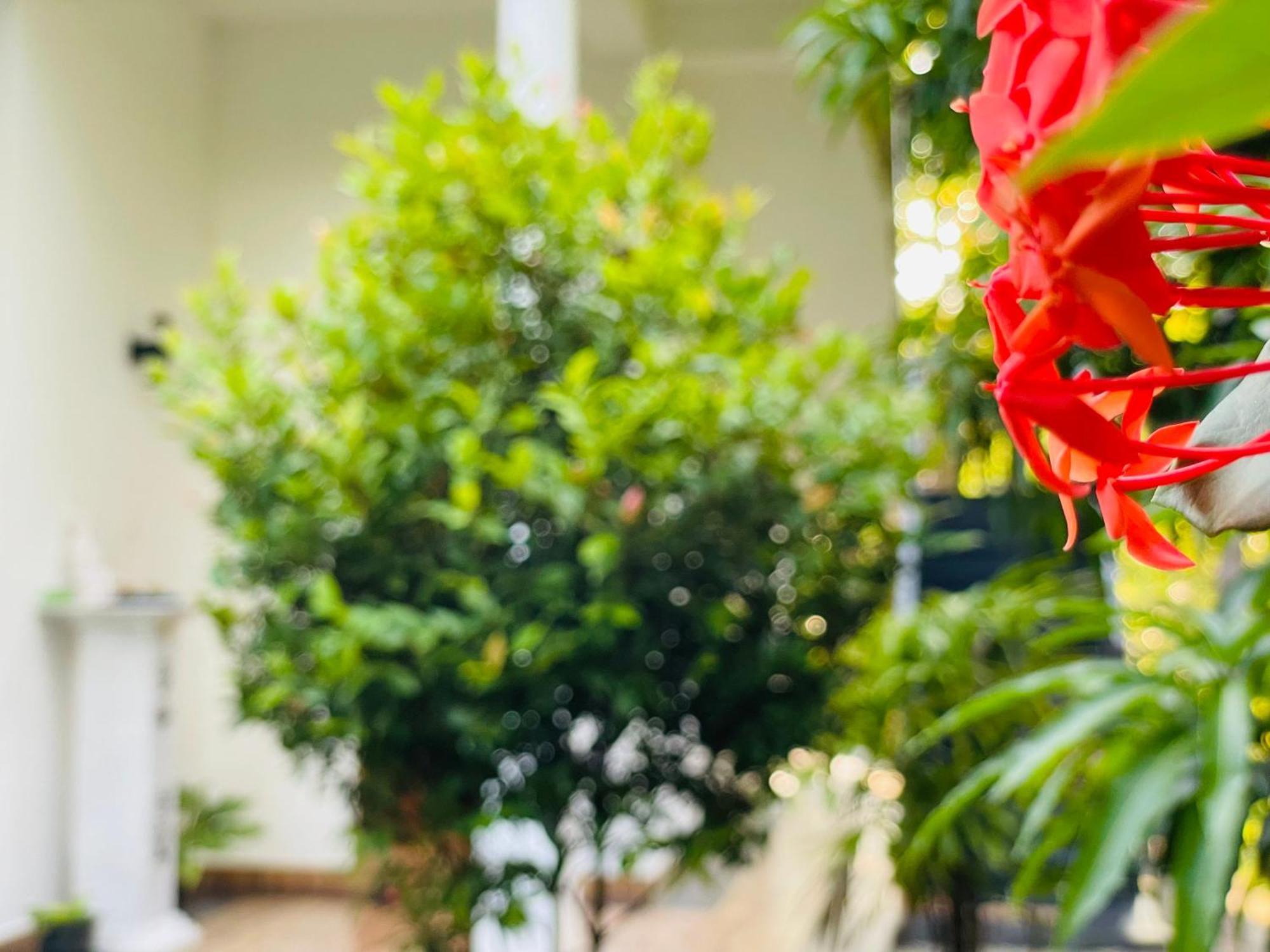 Yala Safari River View Hotel Tissamaharama Dış mekan fotoğraf