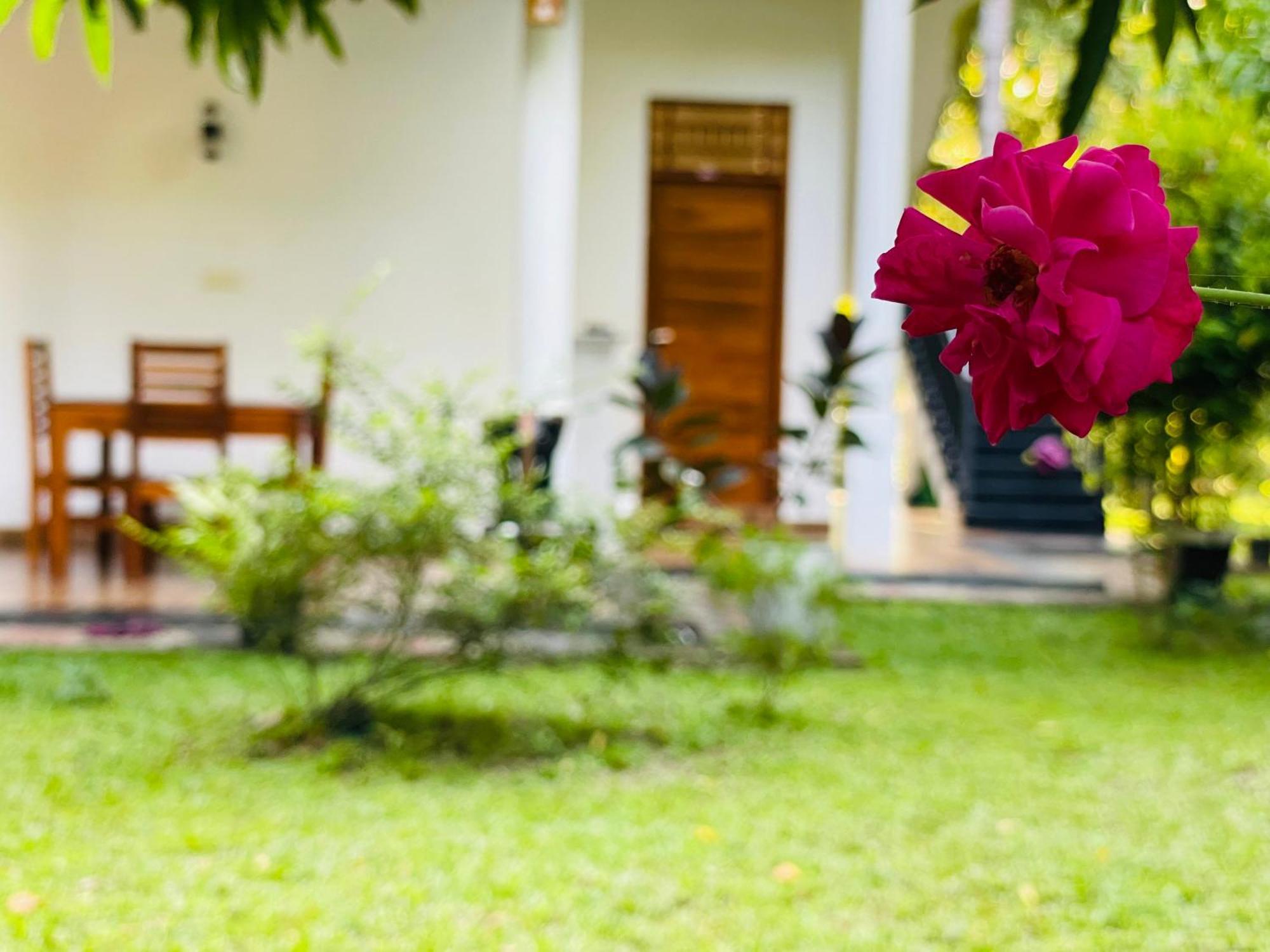 Yala Safari River View Hotel Tissamaharama Dış mekan fotoğraf