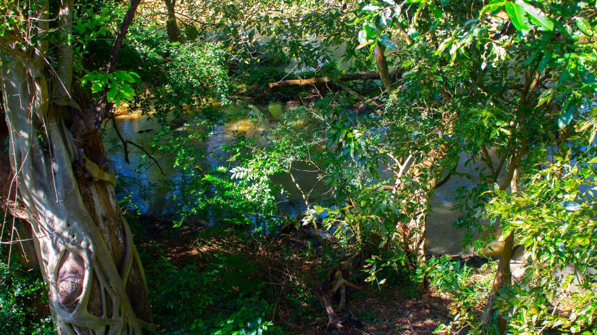 Yala Safari River View Hotel Tissamaharama Dış mekan fotoğraf