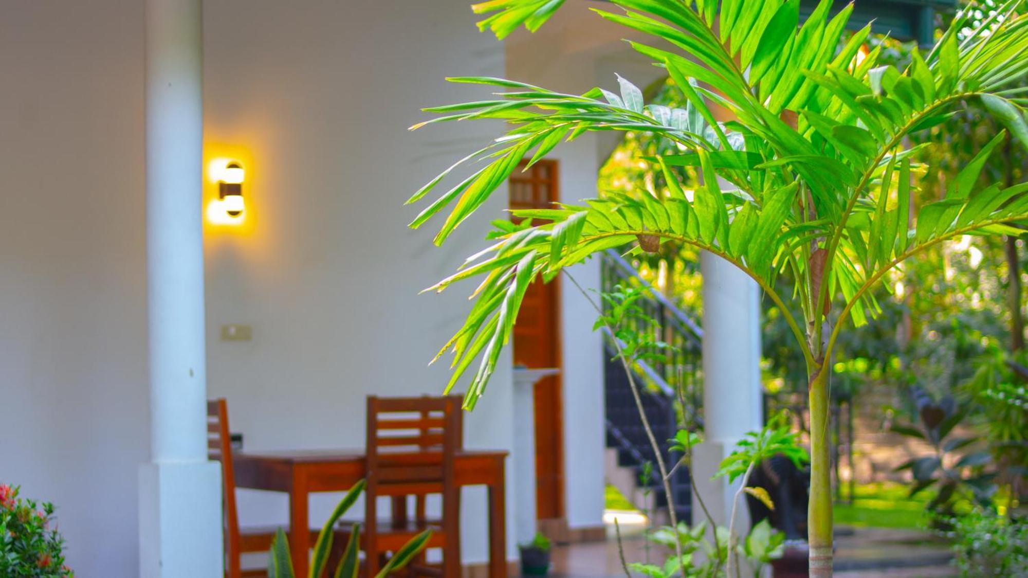 Yala Safari River View Hotel Tissamaharama Dış mekan fotoğraf